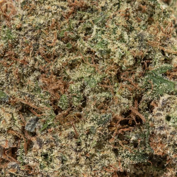 Cereal Milk (AAAA+)