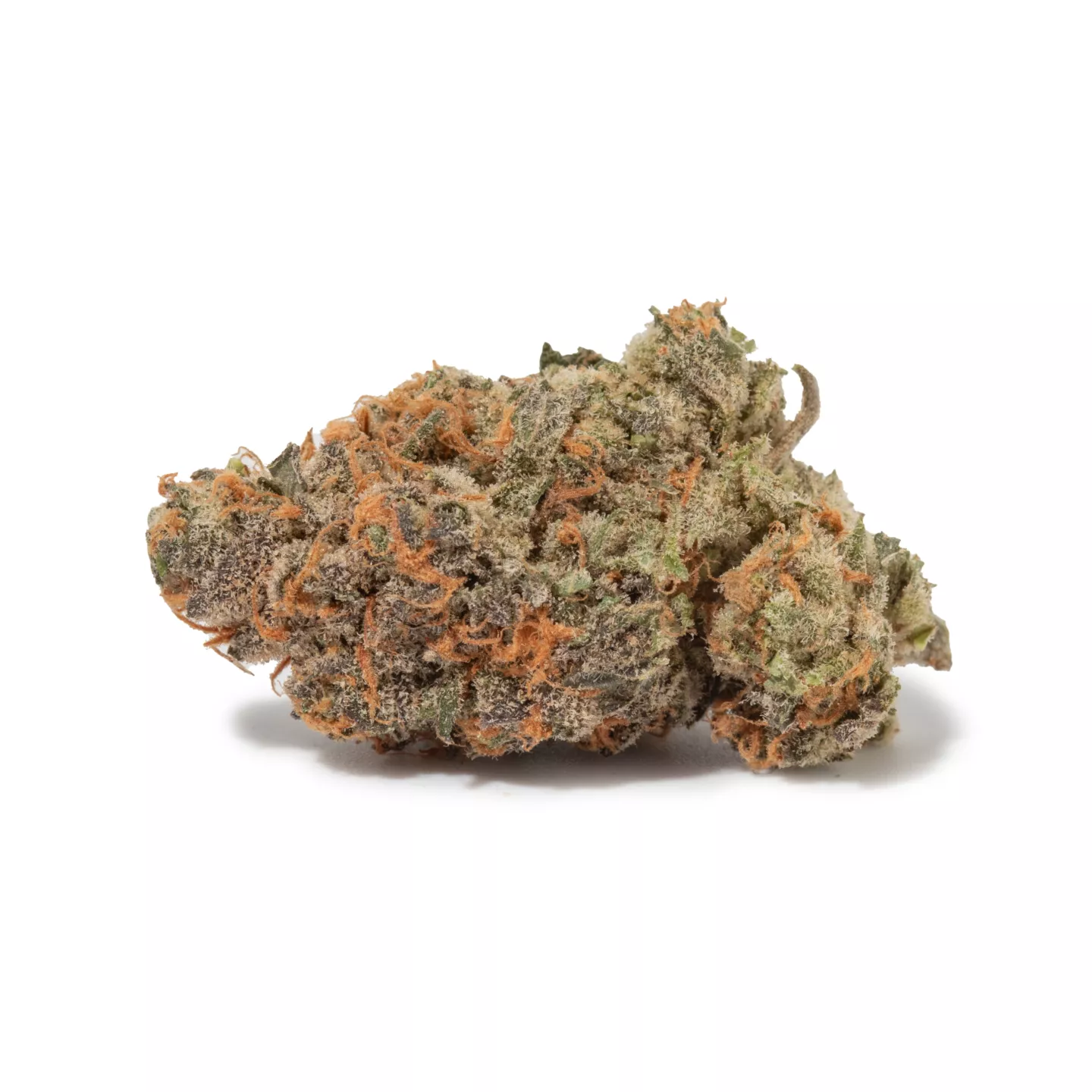 Goudaberry (AAAA+)