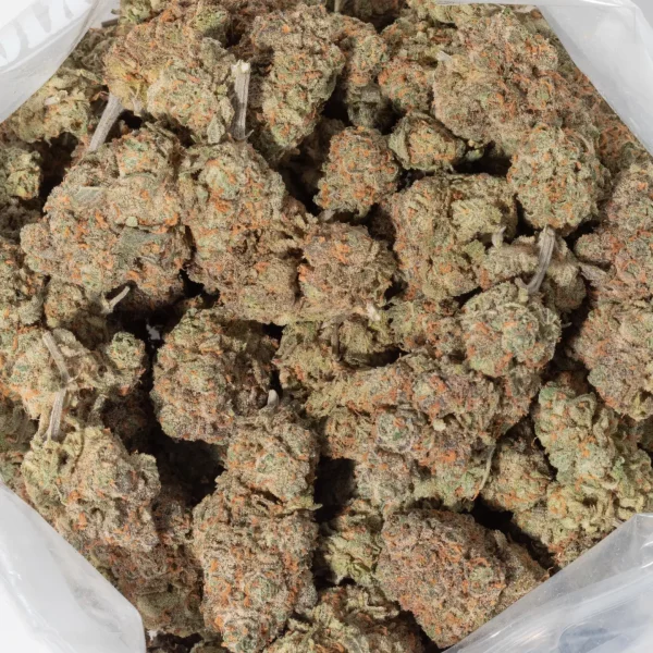Goudaberry (AAAA+)