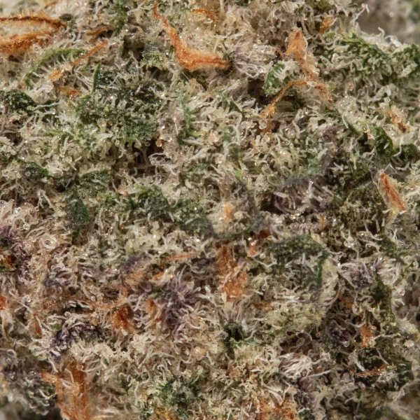 Khalifa Cookies (AAAA+/Popcorn)