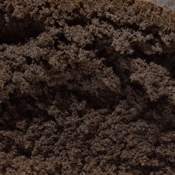 Mazar Shariff Hash