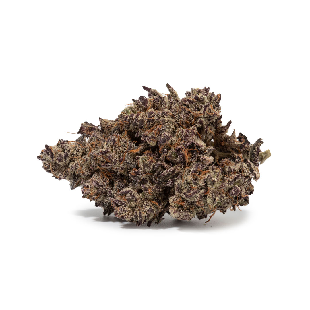 White Truffle (AAAAA/Craft)