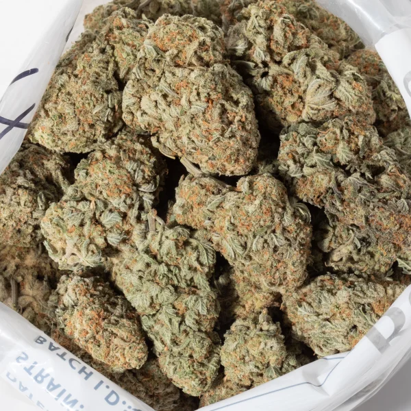 Strawberry Lemonade (AAA+)