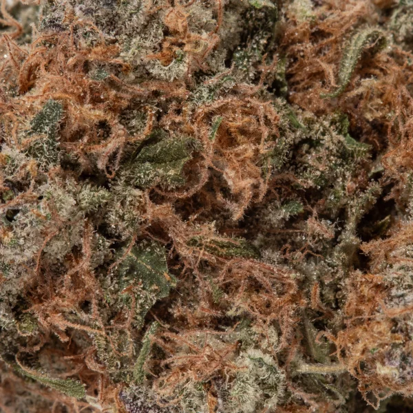 Triangle Kush (AAA+)