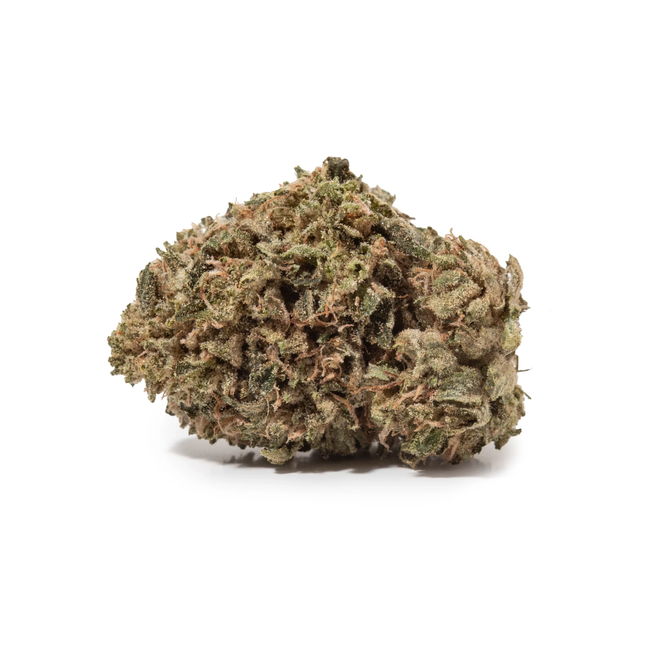Chocolope (AA)
