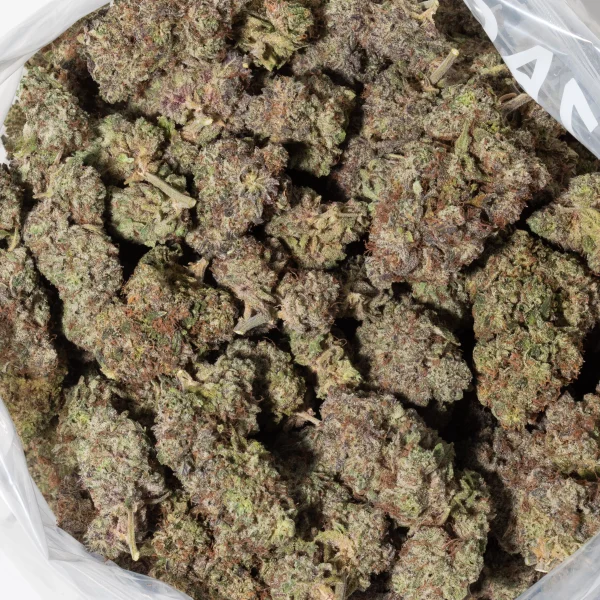 Dark Star (AAAA)