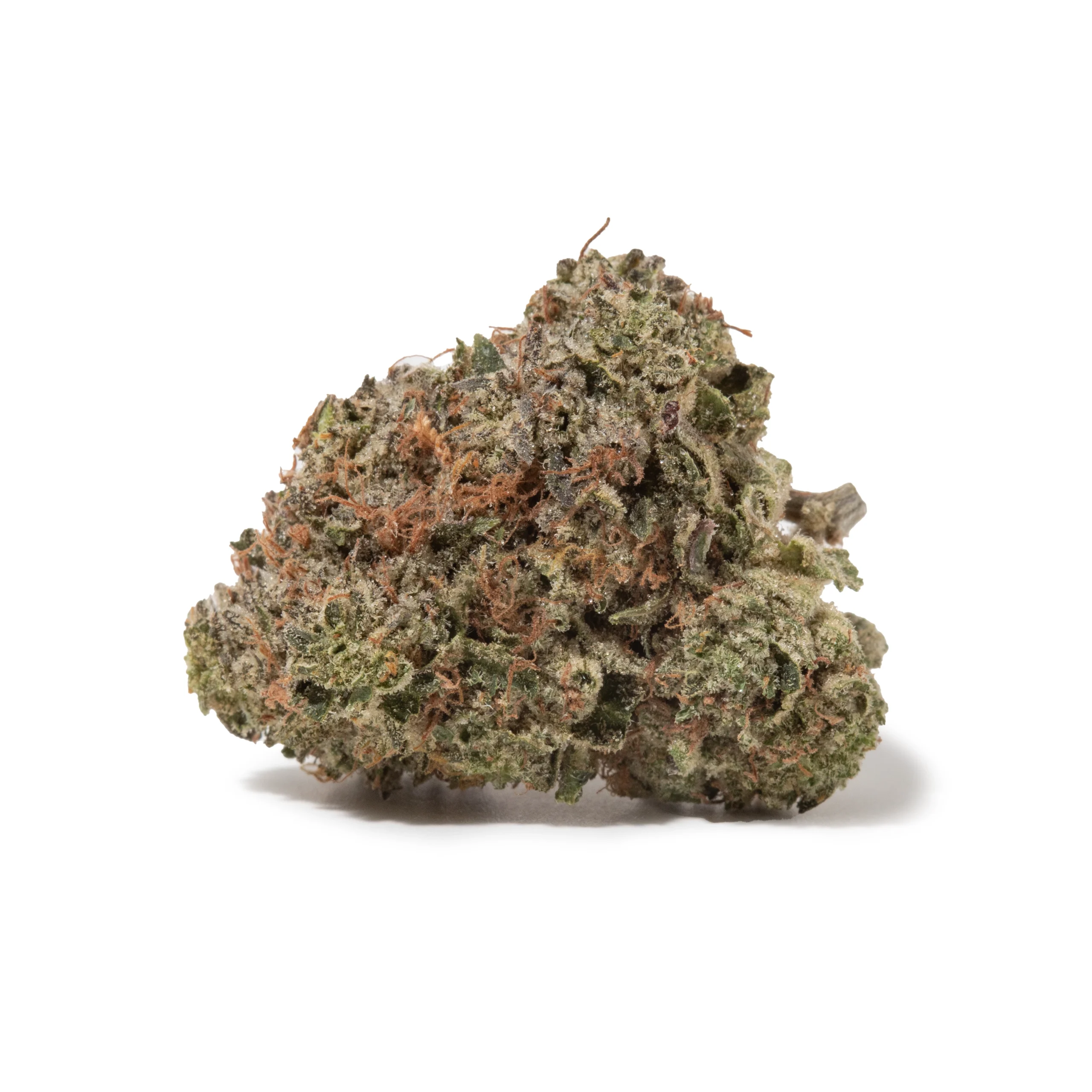 Dark Star (AAAA)