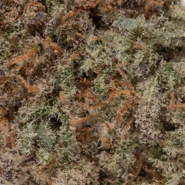 Slurricane Smalls (AAAAA/Craft)