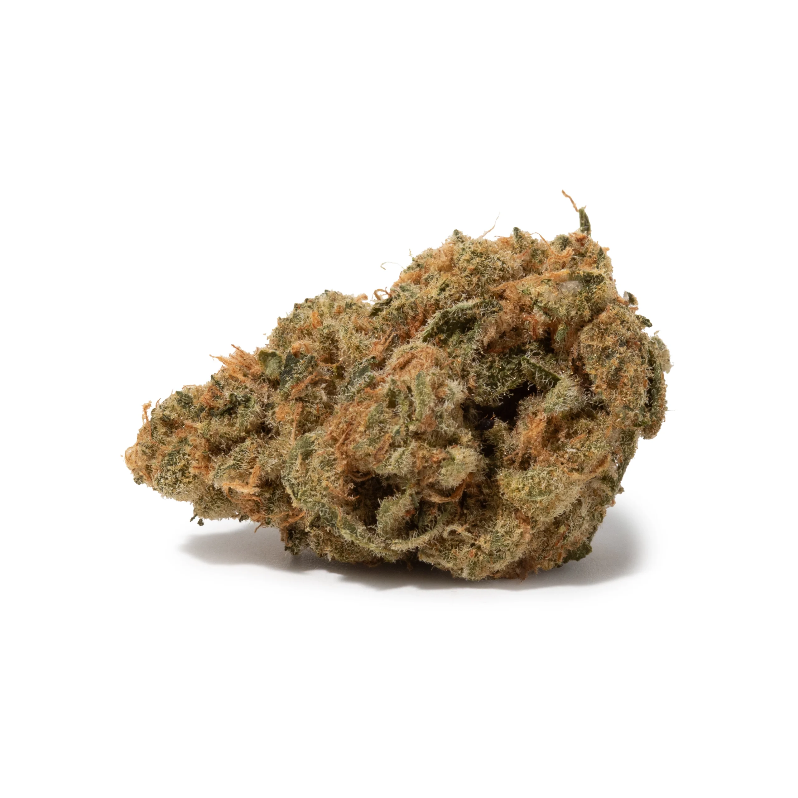 Orange Octane (AA/AA+)