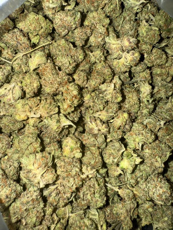 Pink Rockstar Smalls (AAAA) - BULK