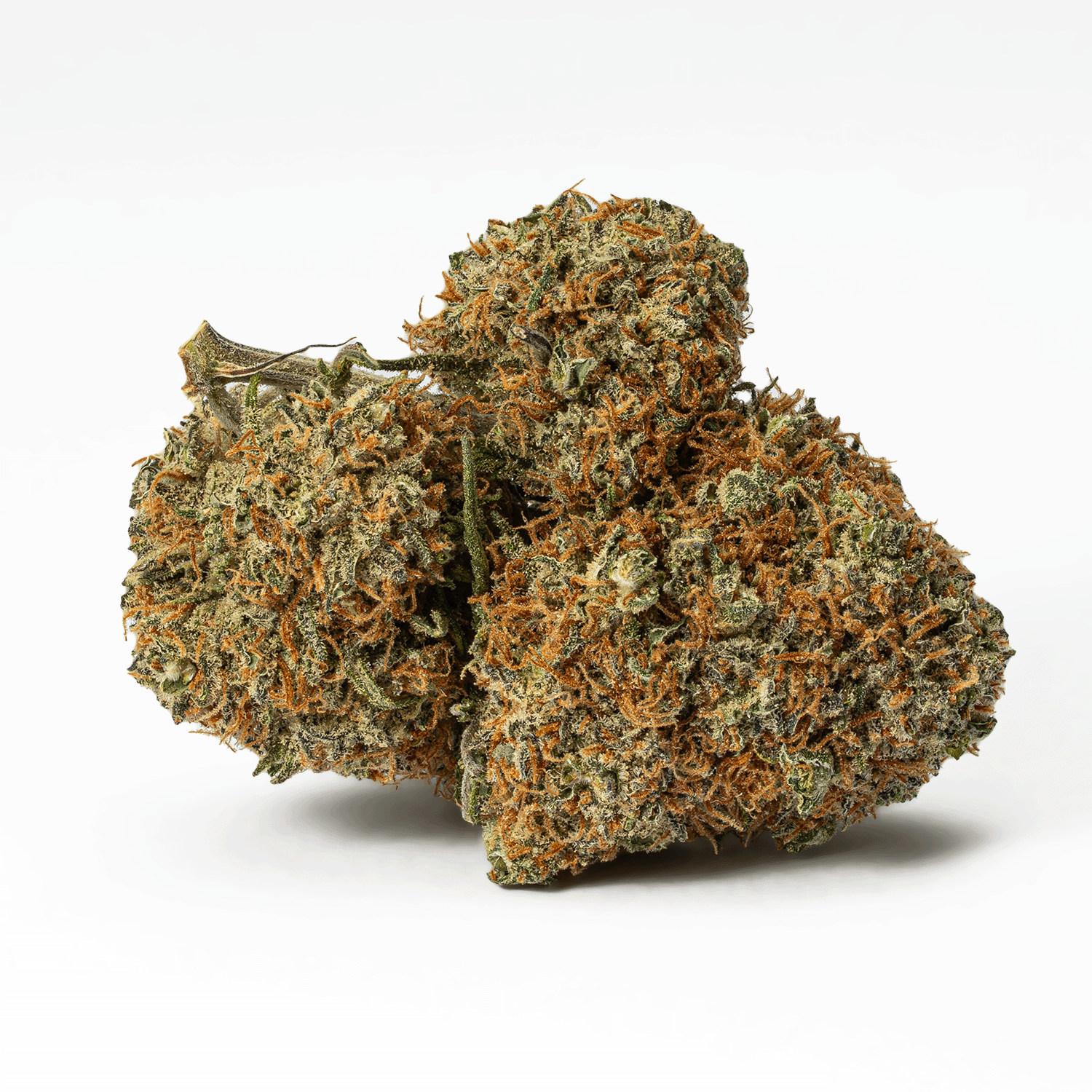 Blackberry Jam (AA+)