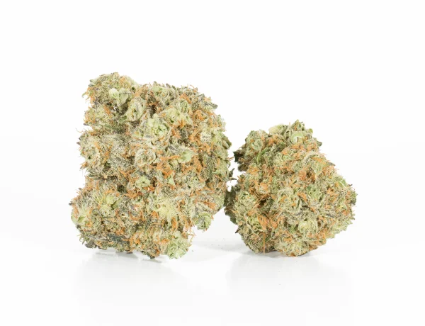 Blackberry x Blueberry (AA+) - Image 2