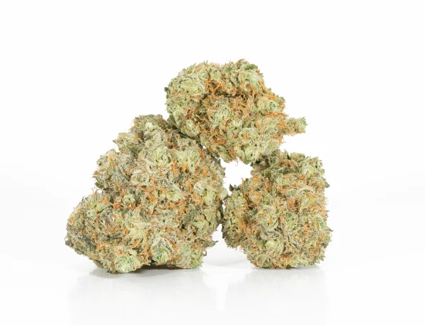 Blackberry x Blueberry (AA+) - Image 3