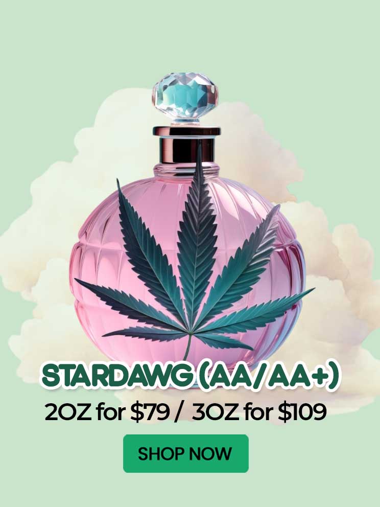Stardawg (AA/AA+) - $79/109