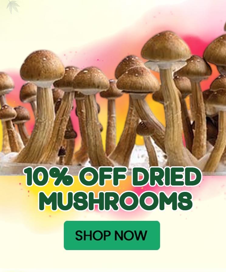 10% OFF Dried Shrooms Products