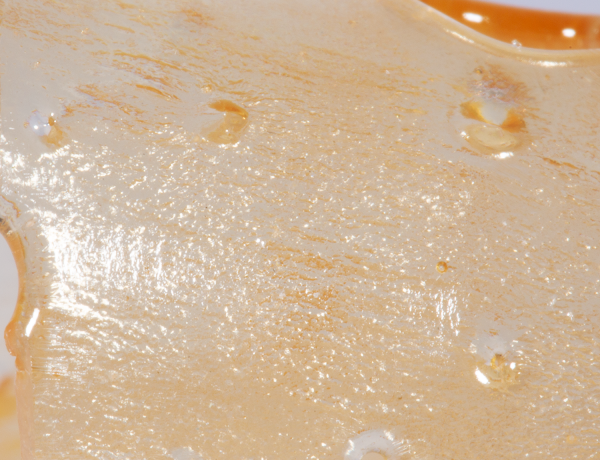 House Shatter – Mimosa - Image 2