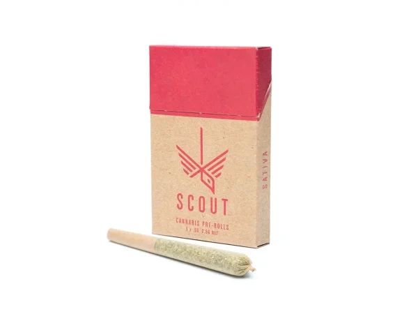 Scout – 5 Pack Pre-Rolls (0.5g) - Image 3