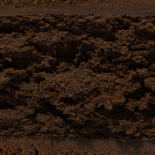 Bentley Hash