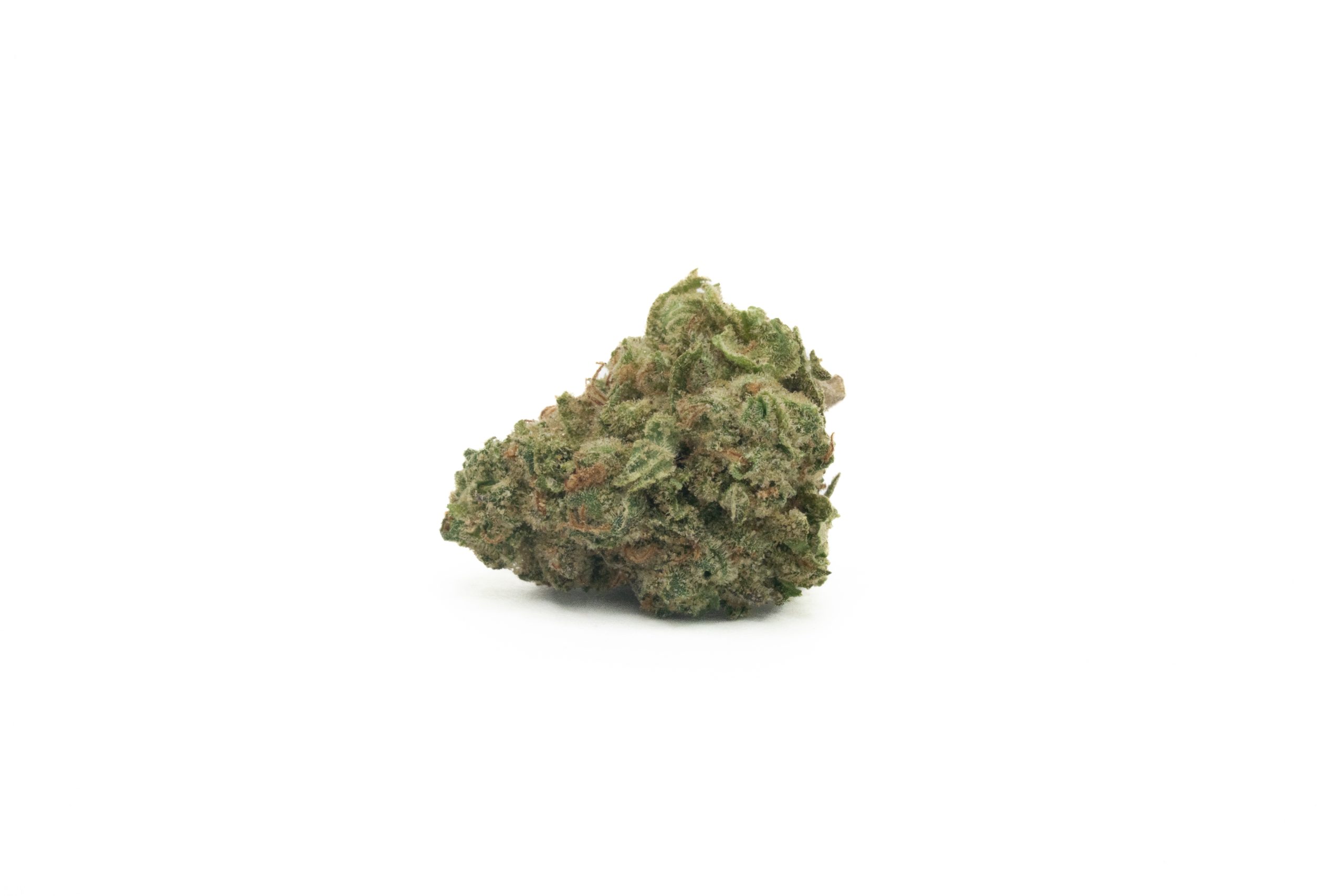 Jungle Cake (AA/Popcorn)