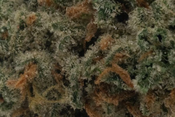 Cherry Cola (AA)