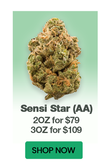 Sensi Star (AA) - $79/109