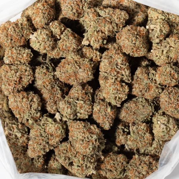 Chocolate OG (AAA+)
