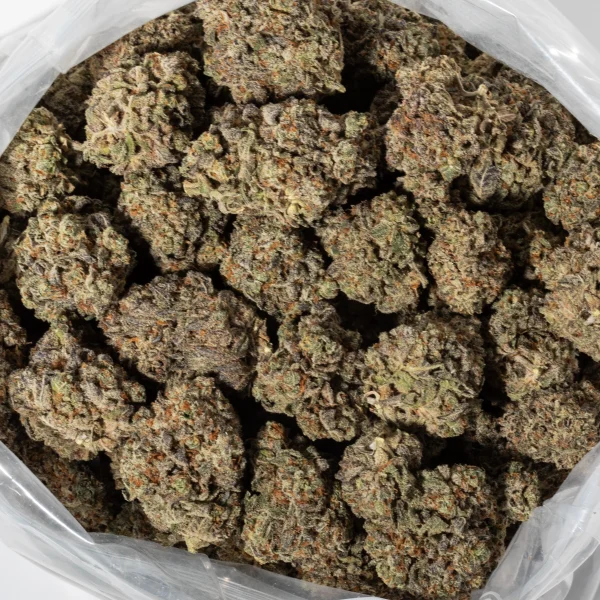 Do Si Dos (AAAA+)