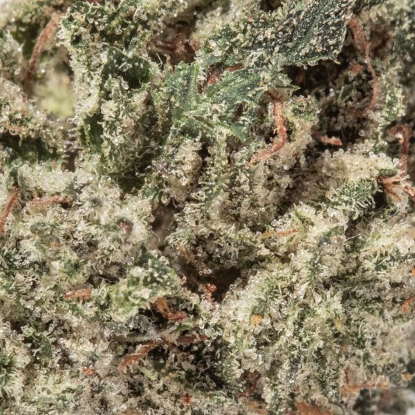 Amnesia Haze (AAAA/Popcorn)