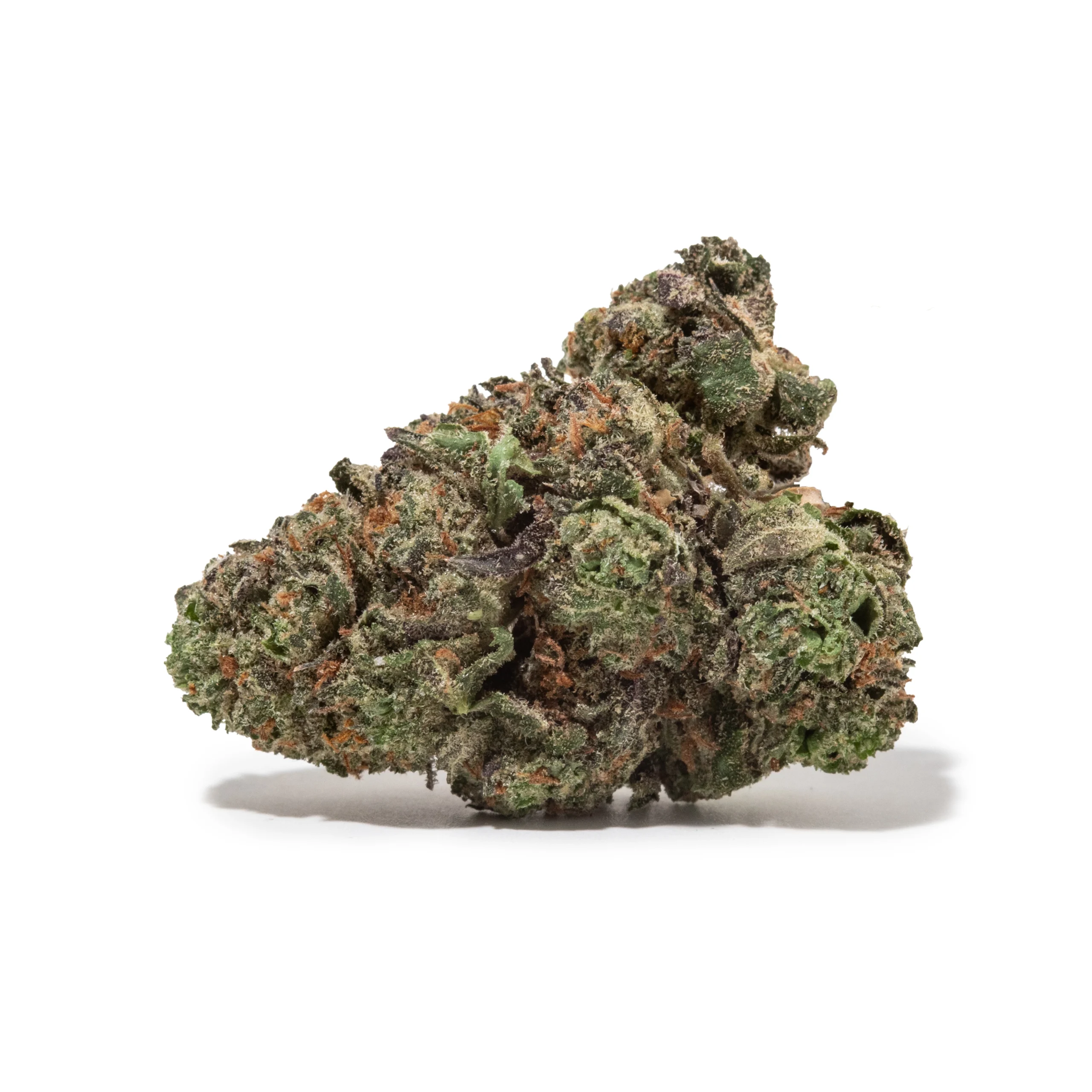 Northern Lights (AAA/AAA+)