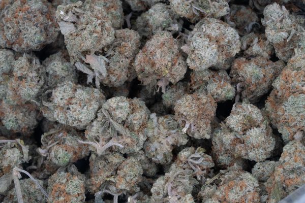 Donkey Butter (AAAA/Popcorn)