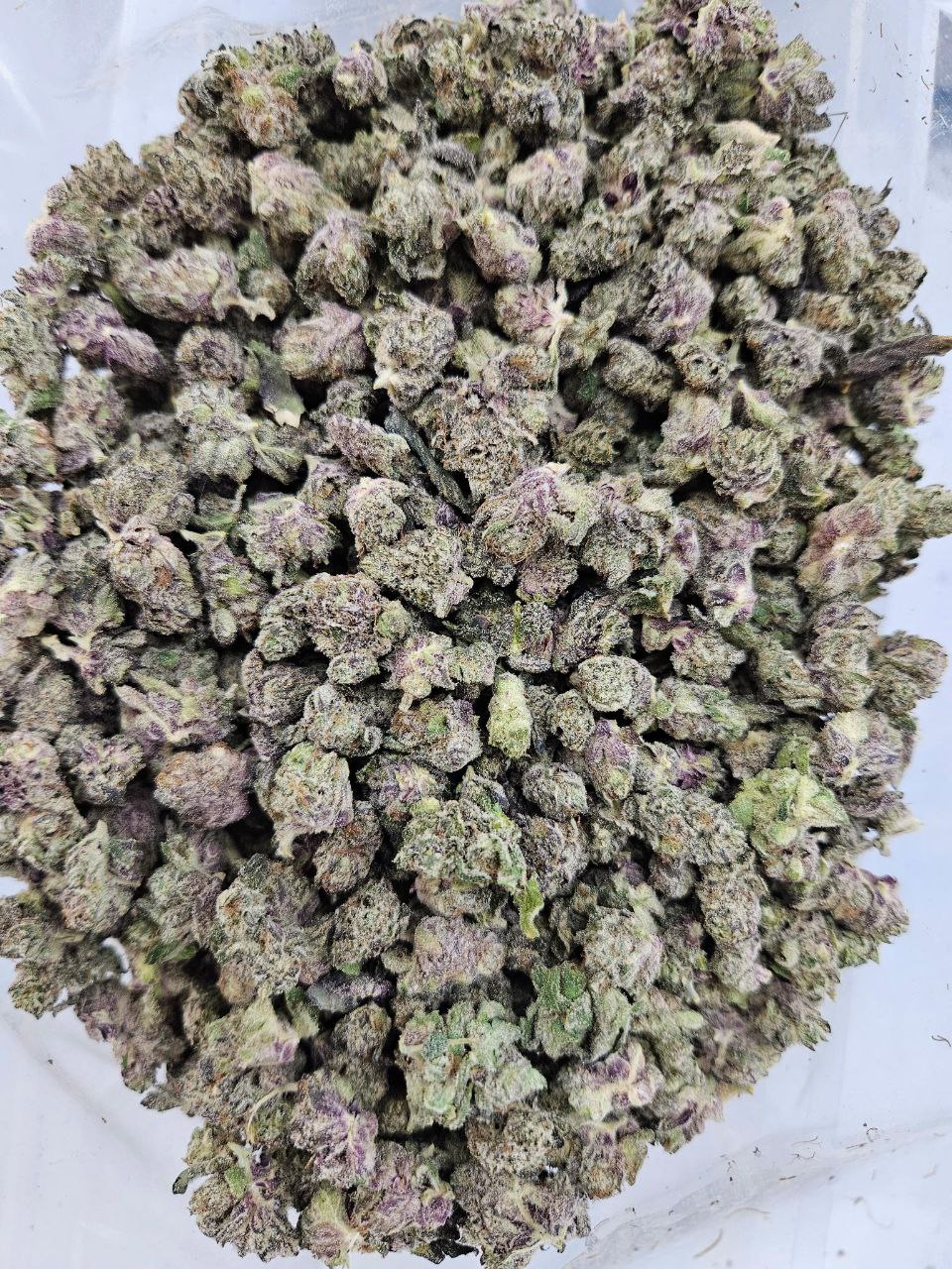 Blue Burst (AAAA+/Popcorn) - BULK