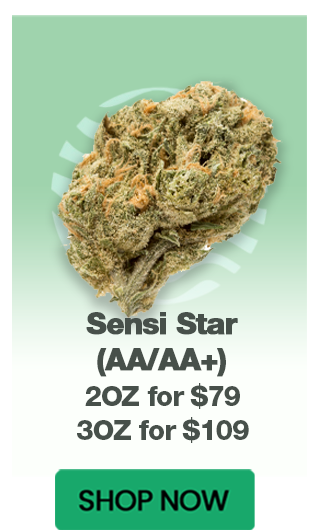 Sensi Star (AA/AA+) - $79/109