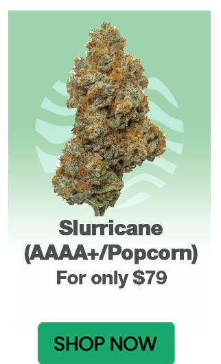 Slurricane (AAAA+/Popcorn) - $79