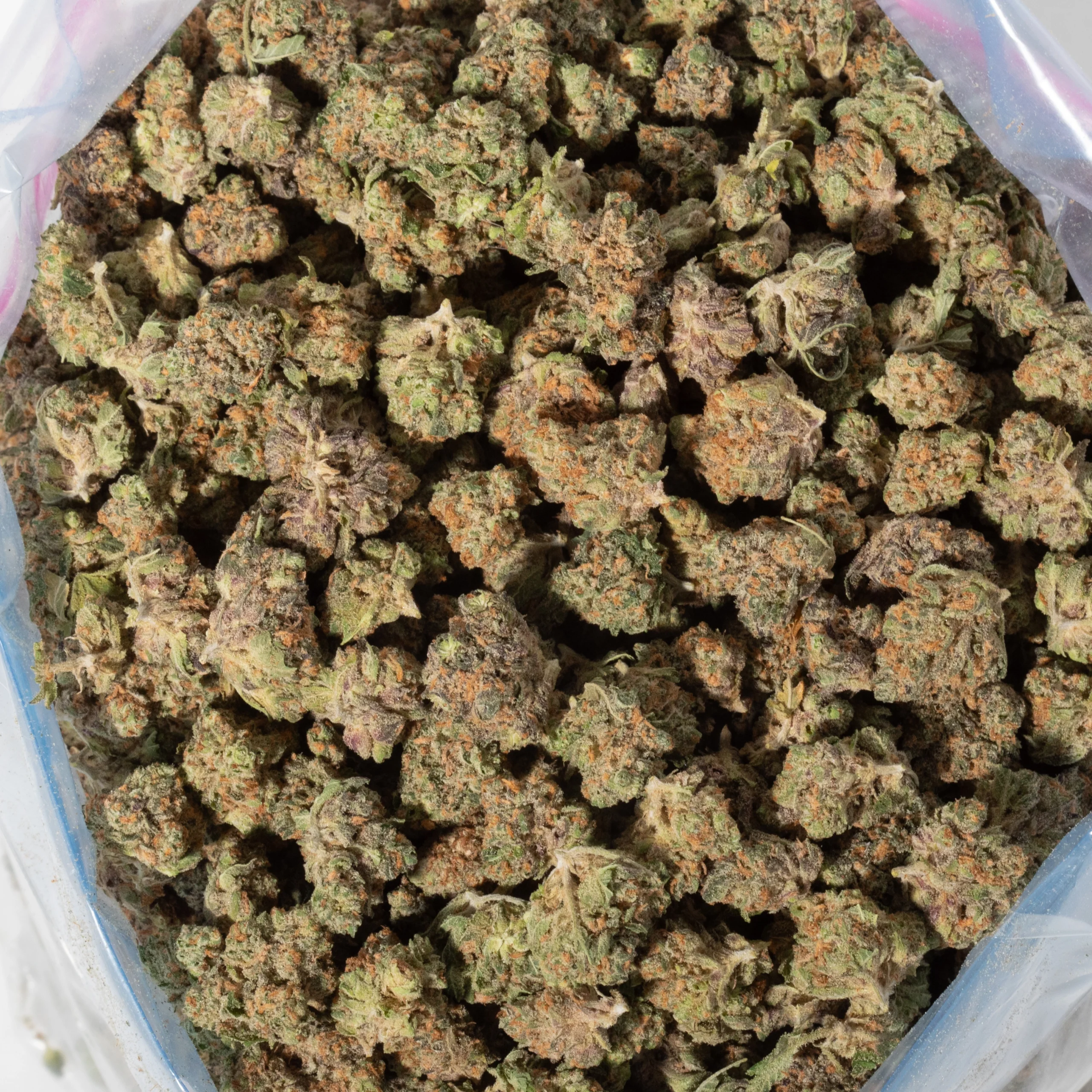 Lemon Skunk (AA/Popcorn)