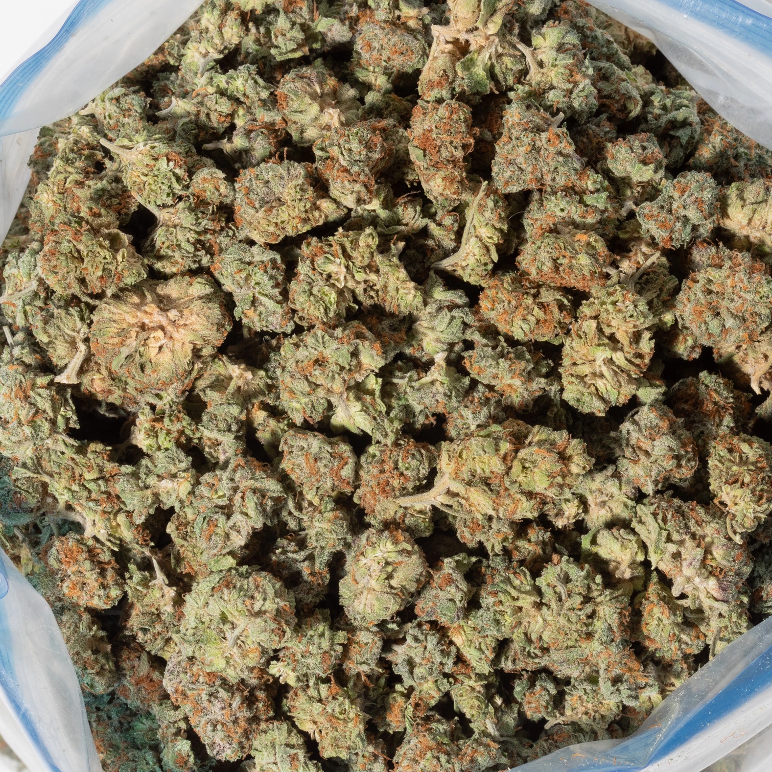 Cherry Mints (AA+/Popcorn)