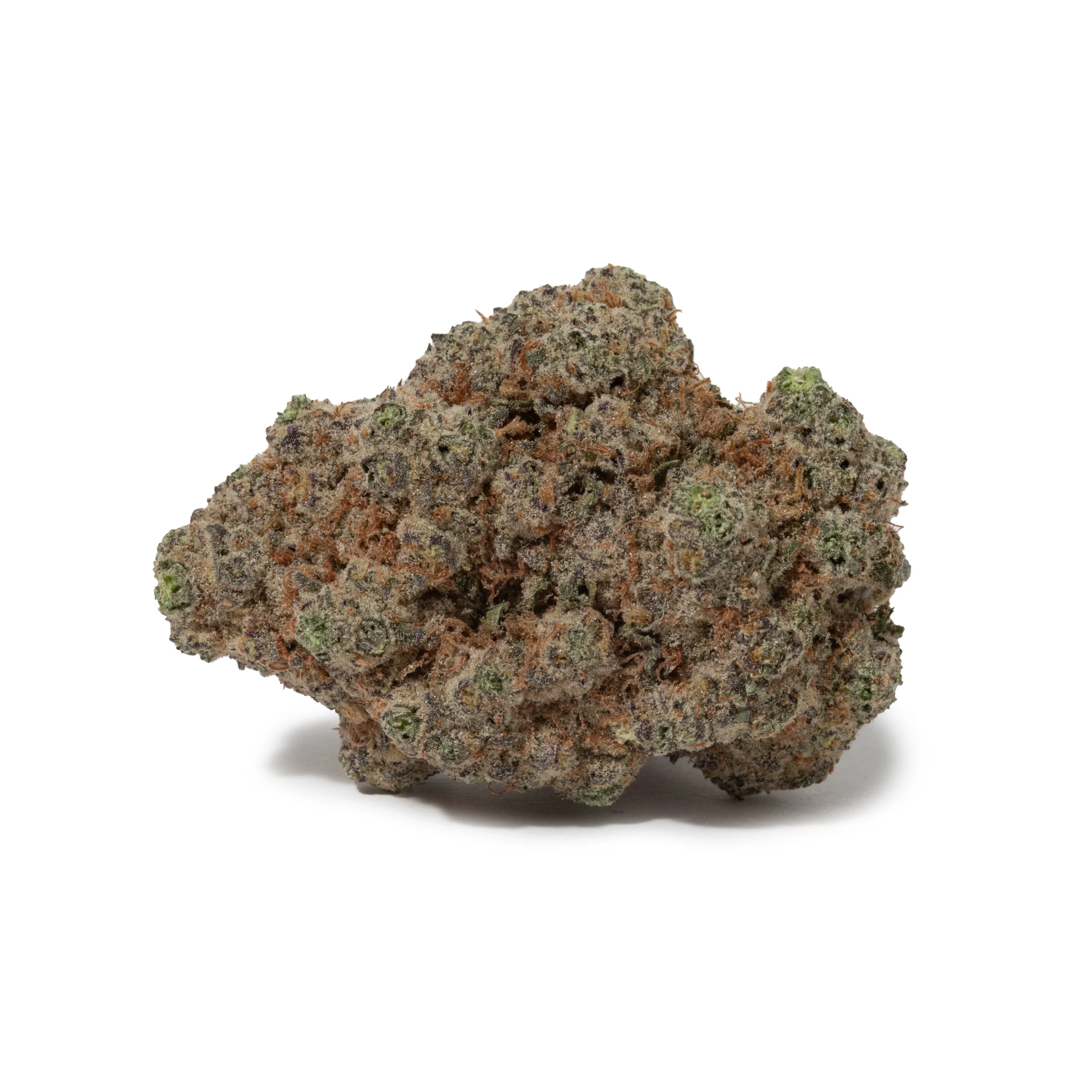 Black Tuna (AAAAA/Craft)