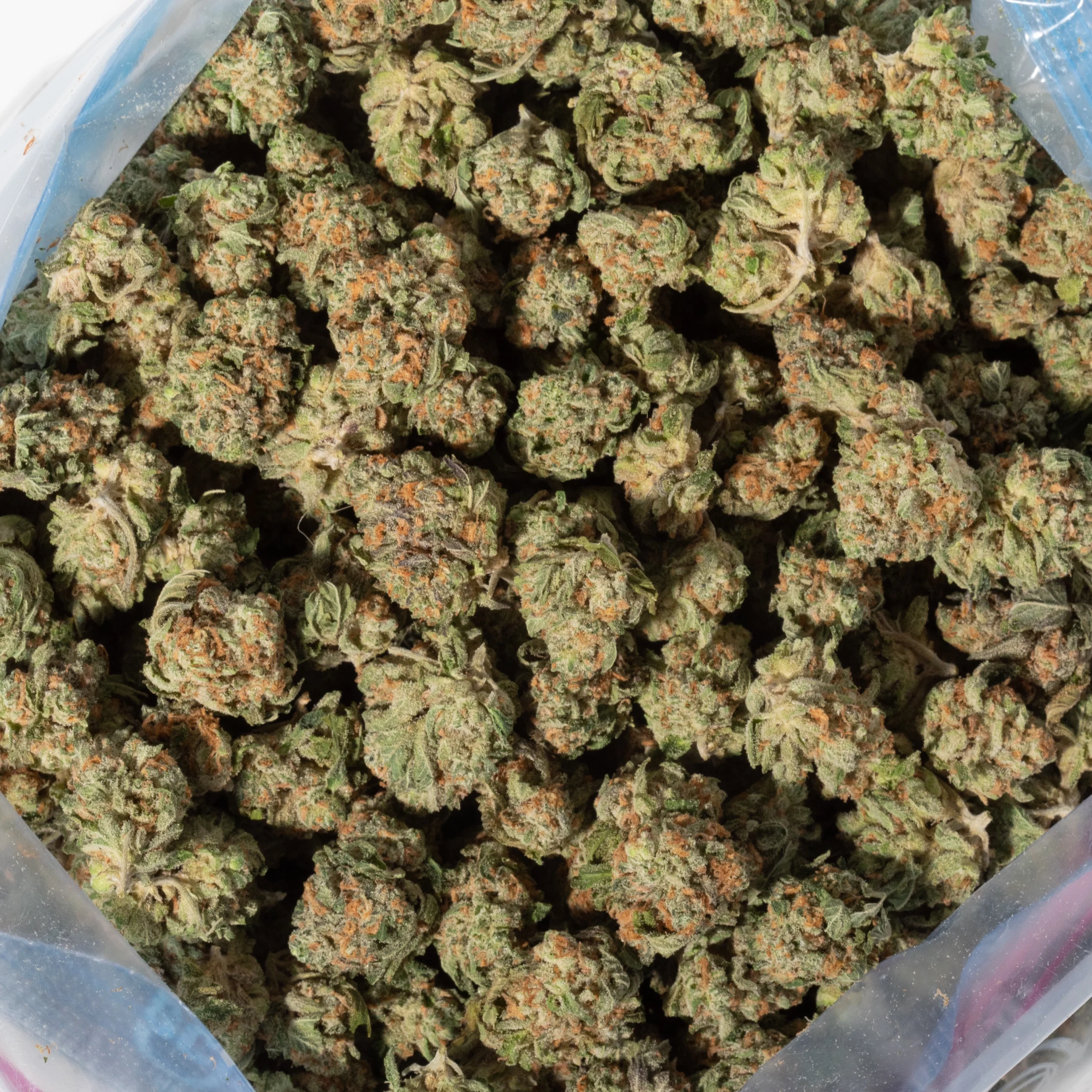 Hell Fire OG (AA/Popcorn)