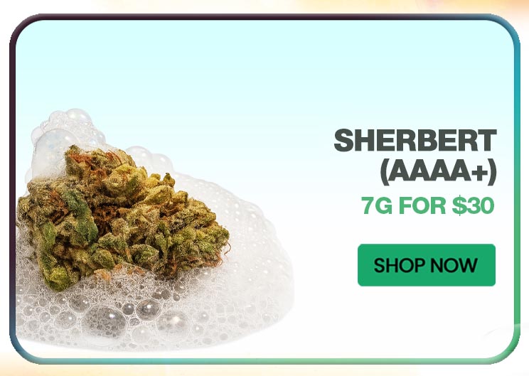 Sherbert (AAAA+) - 7G for $30