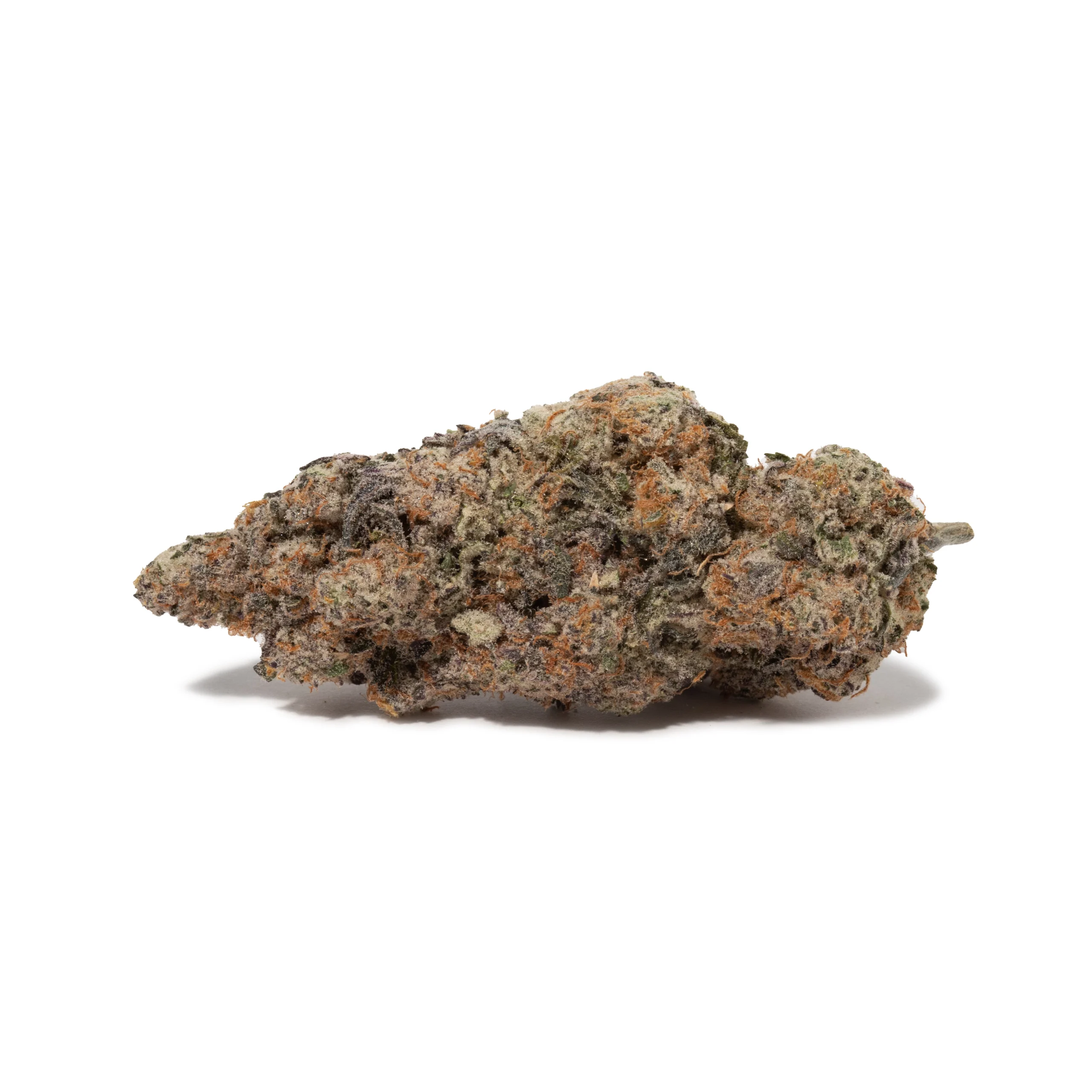 Jelly Donut (AAAAA/Craft)