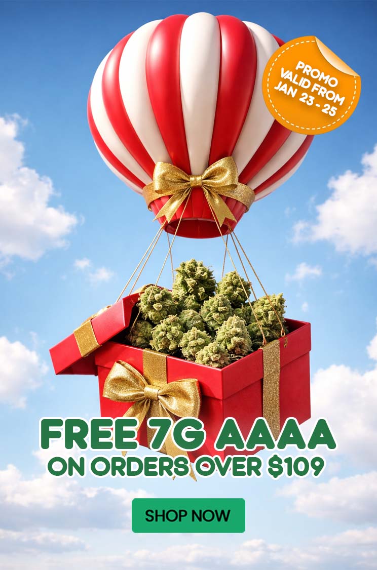 FREE 7G AAAA On Orders Over $109