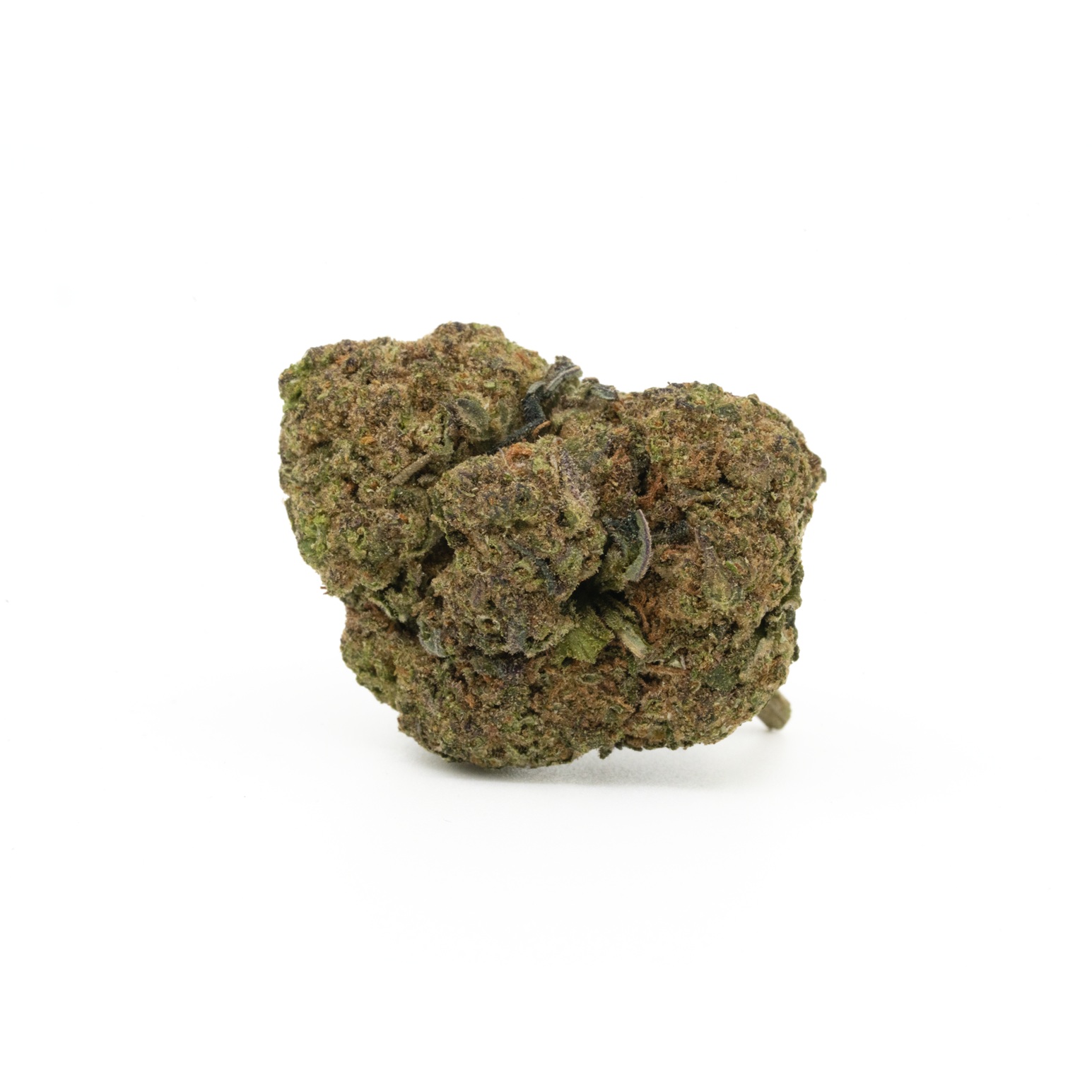 Jealousy (Budget Buds)