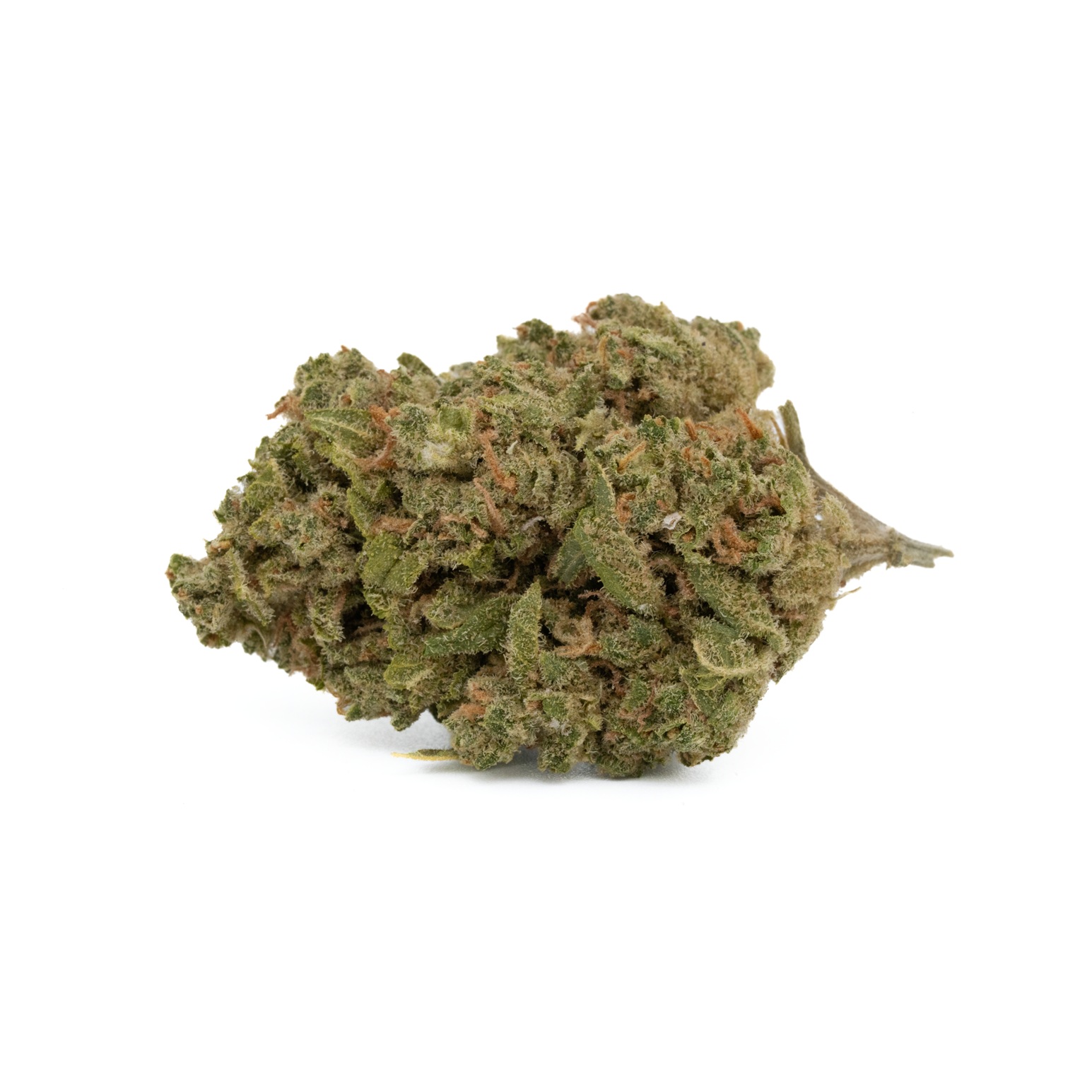 White Russian (Budget)