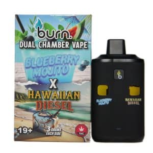 Burn Extracts - Dual Chamber Disposable Vape - Blueberry Mojito + Hawaiian Diesel (3+3 Gram)