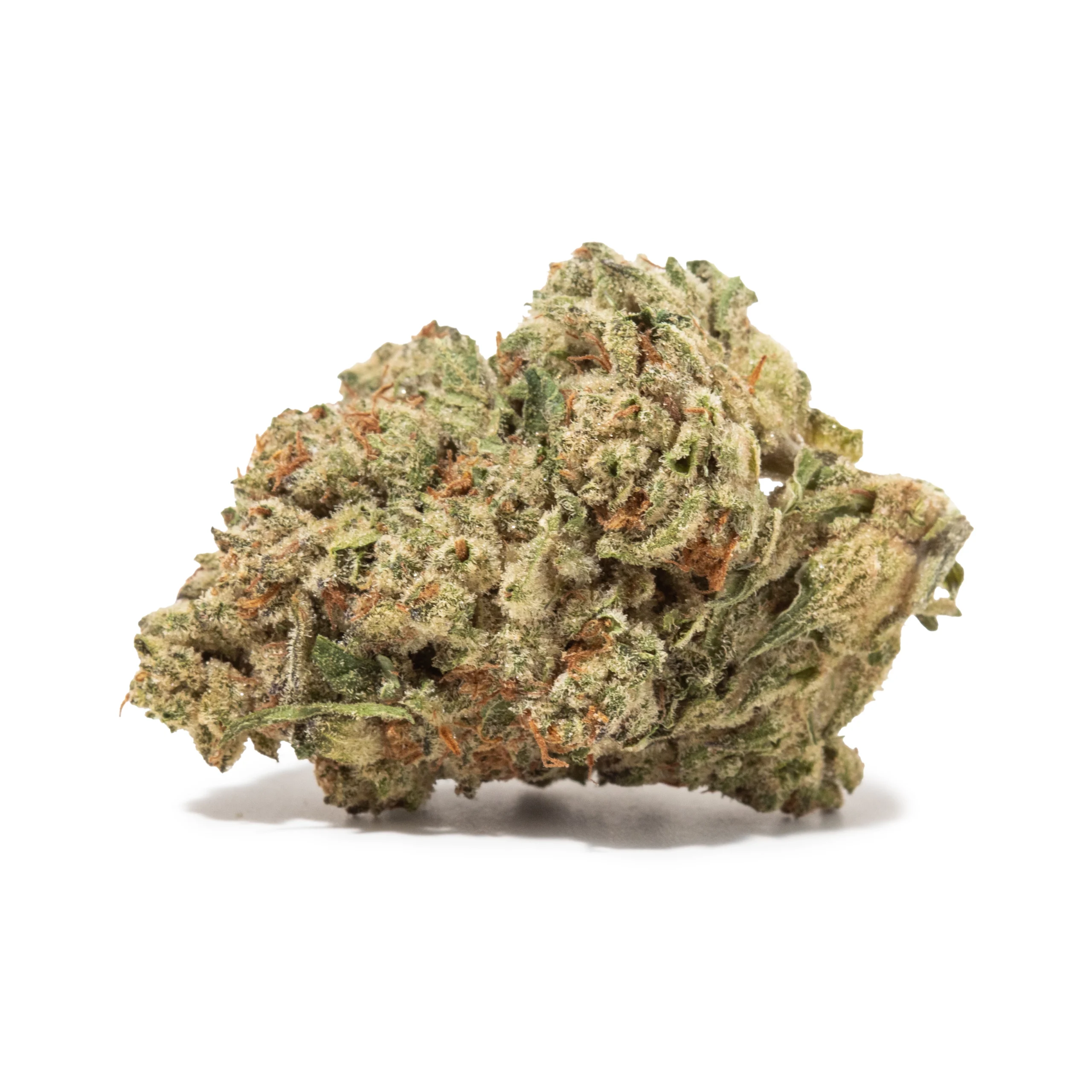 Citrus Tsunami (AA+)