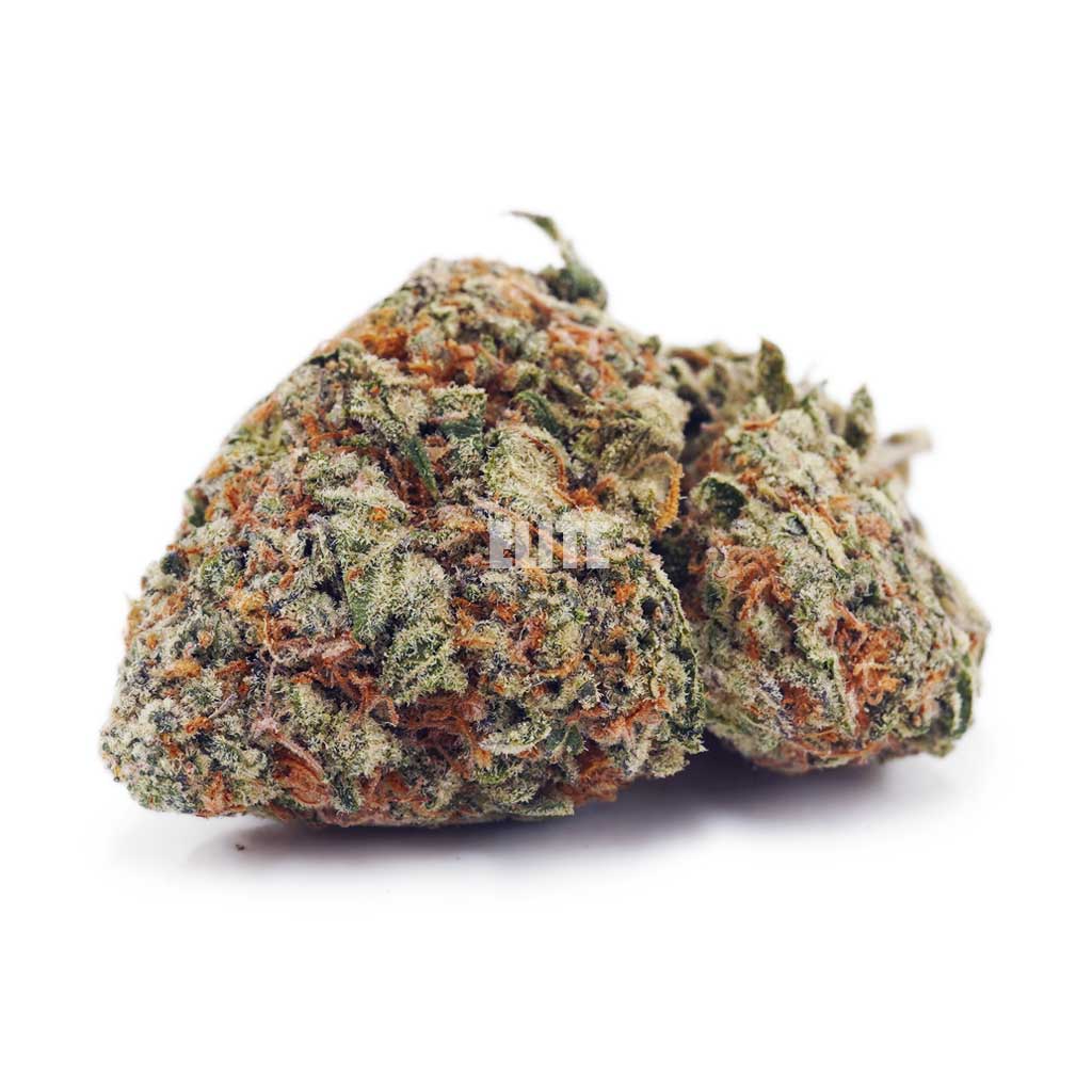 Platinum Kush AA - Only Gas