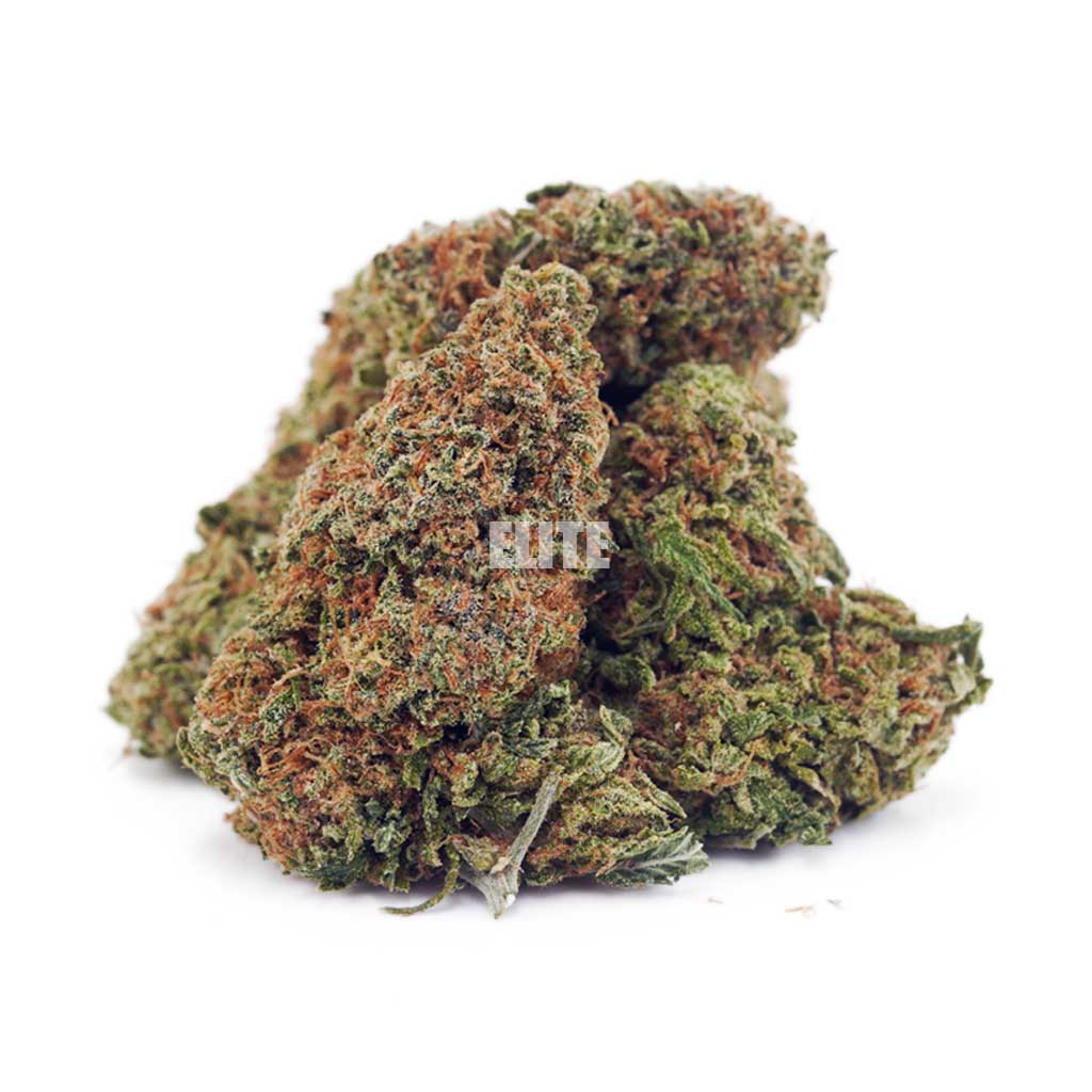 Chocolope AA - Image 2