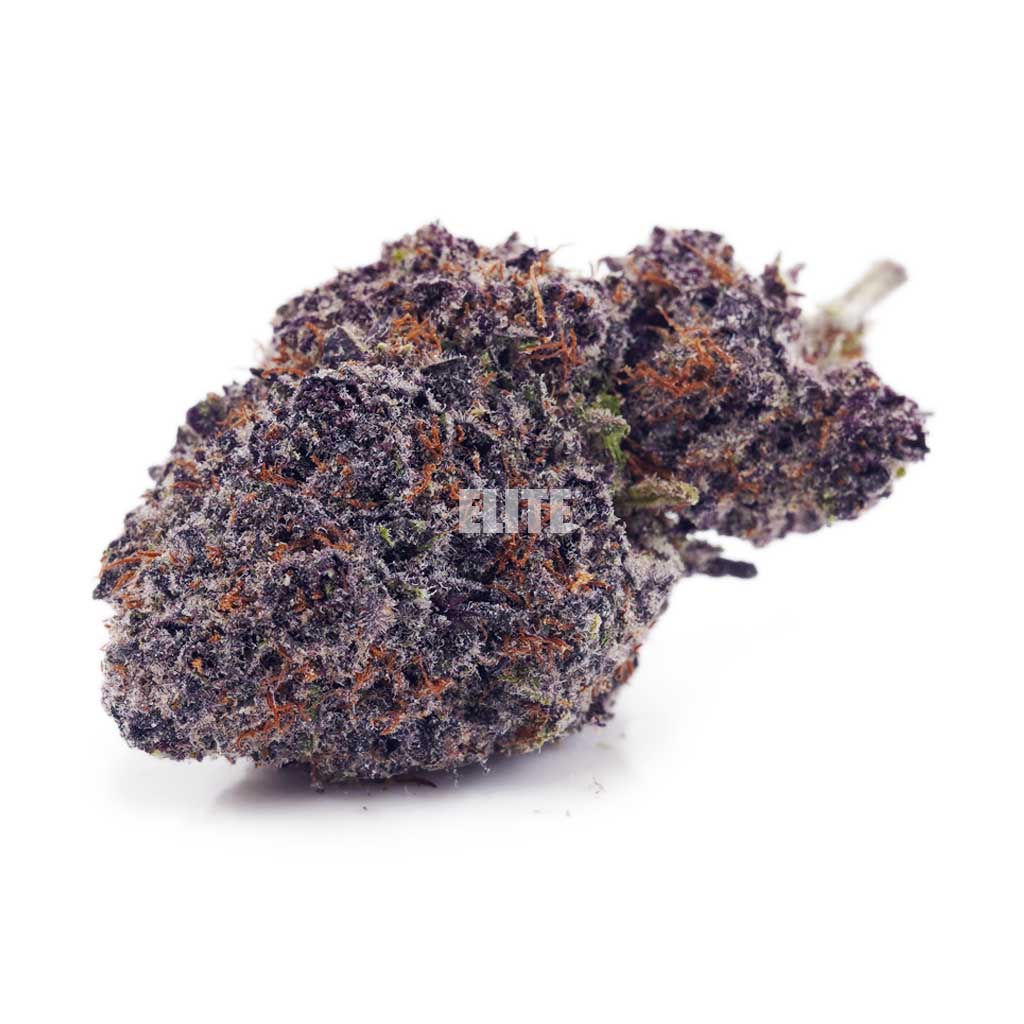 LA Confidential AAAA - Quads from the North