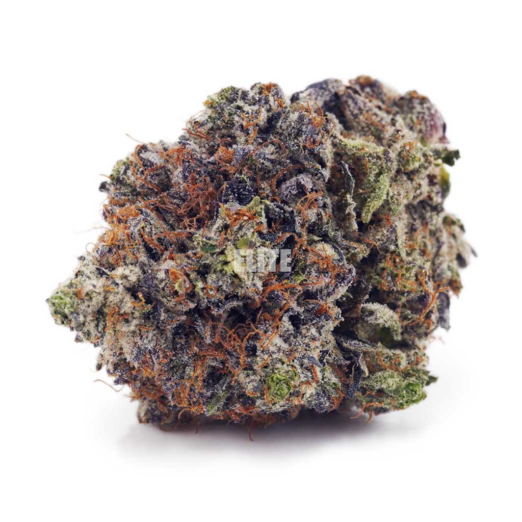 El Chapo AAAA - Quads from the North