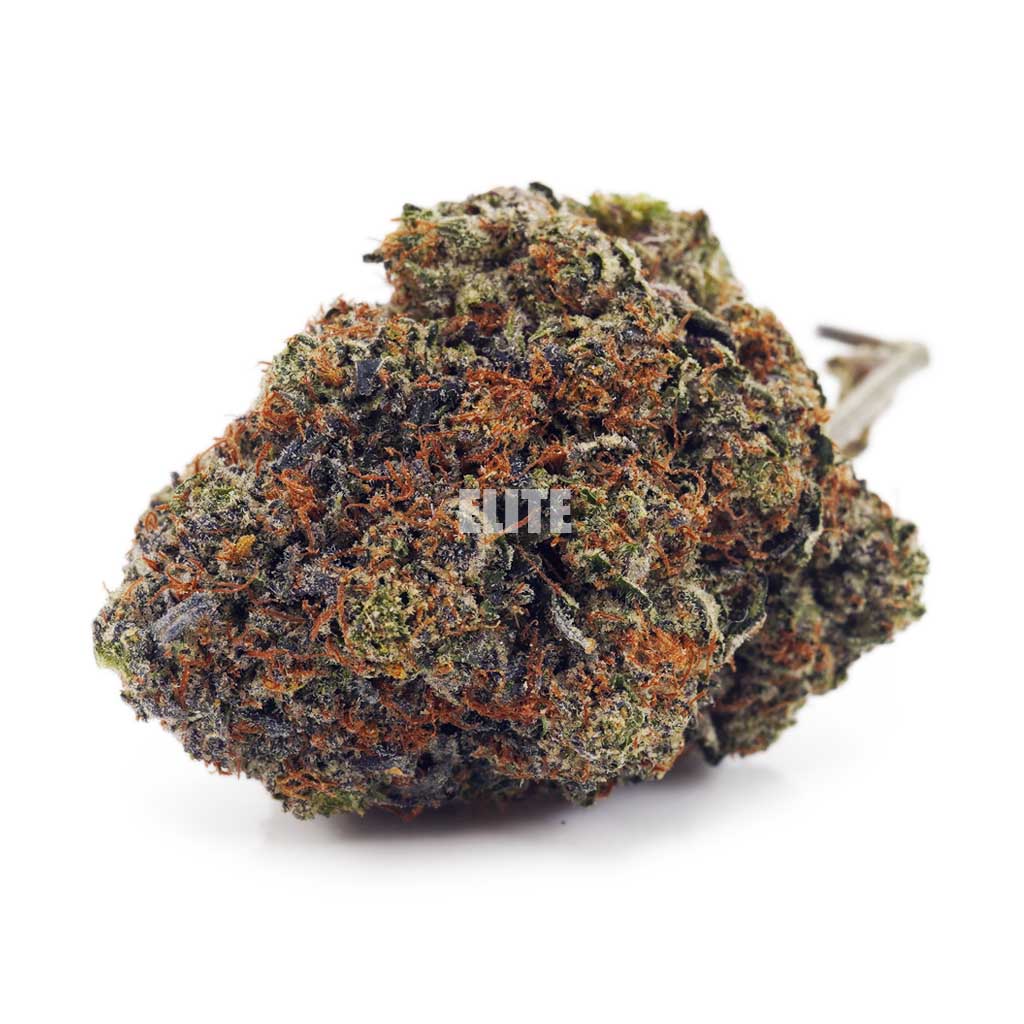 Death Pink AAAA - Quads from the North