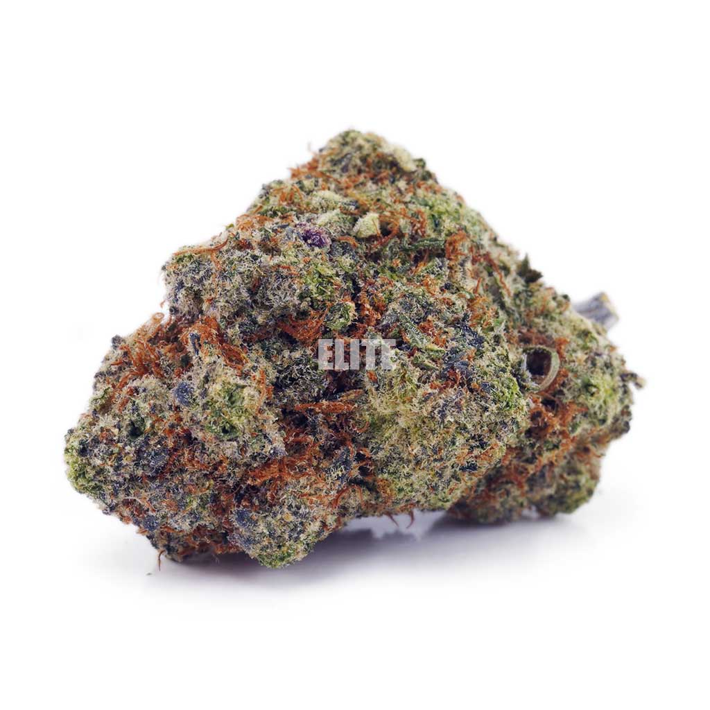 Gorilla Cookies AAA - Quads from the North